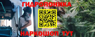 герыч Будённовск