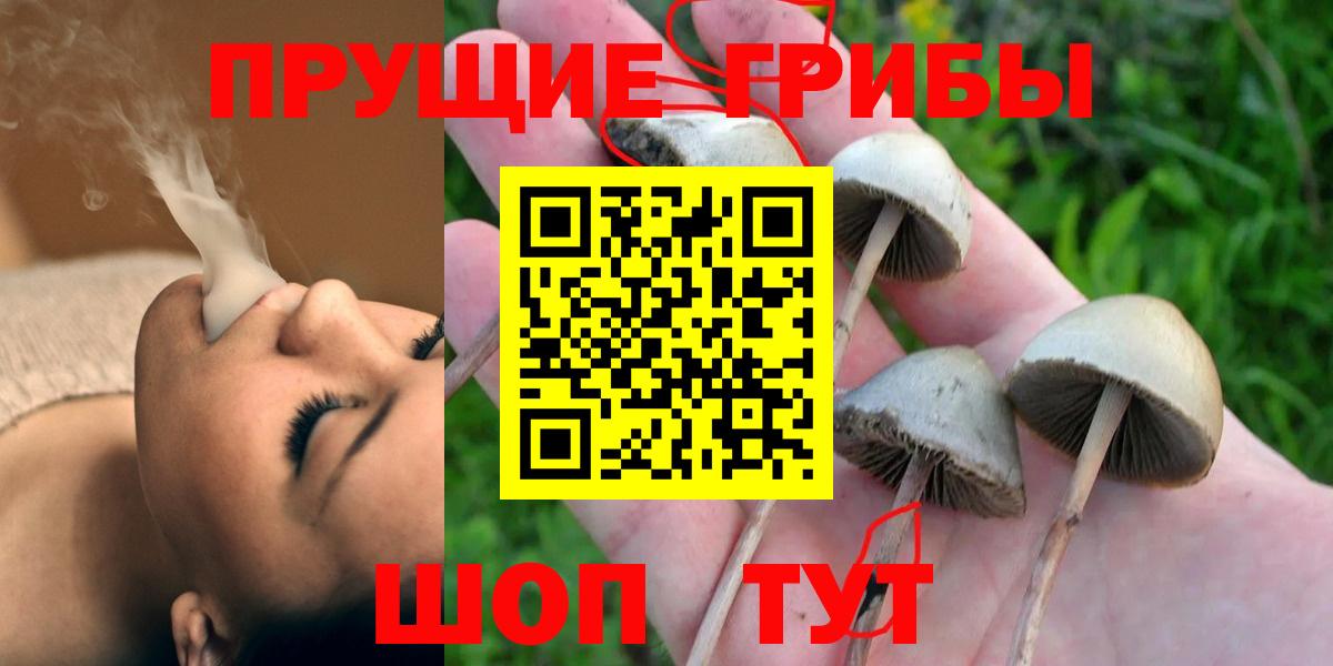 Усть-Илимск  Галлюциногенные грибы мицелий  Вход с VPN 